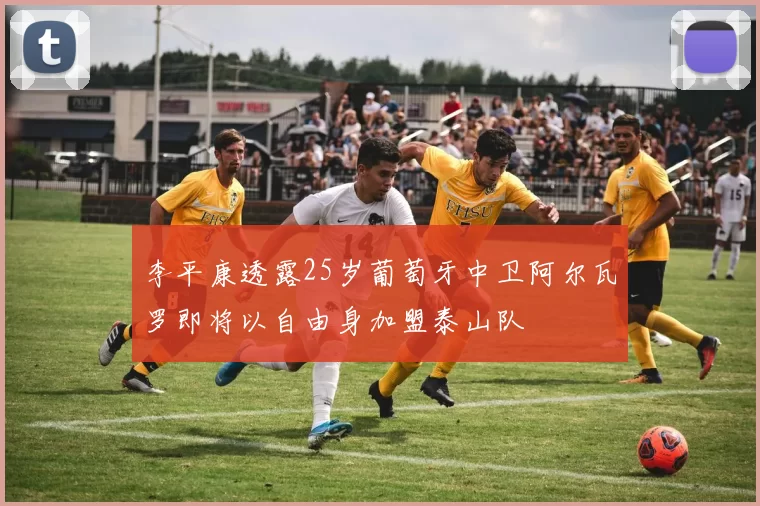 李平康透露25岁葡萄牙中卫阿尔瓦罗即将以自由身加盟泰山队